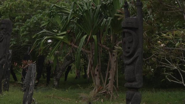 LOCKED OFF side view of Ambrym Black Fern figure