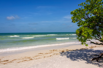 Beach in Clearwater, Florida