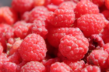 Paradise berry pleasure.
