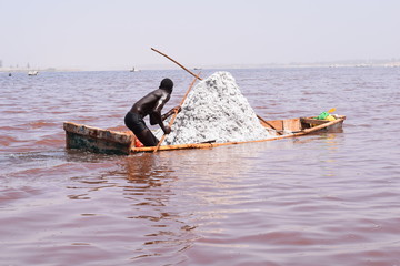 An African man harvests salt in the pink lake, known as Lake Ratba, Lake Rose and Lac Rose