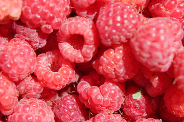 Paradise berry pleasure.