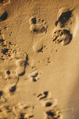 Legs of children stand on the beach. Baby feet in the sand. Summer beach background. Summertime holidays concept