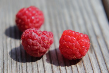 Paradise berry pleasure.