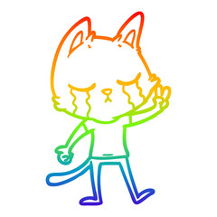 rainbow gradient line drawing crying cartoon cat