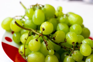 Ripe green grapes in plate on white wooden table, top view. Green grapes in a plate on the table. Green grapes in a red plate on the table.