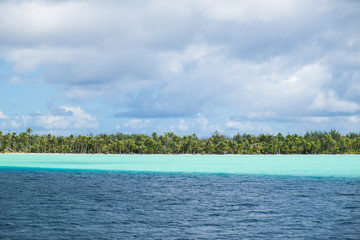 Bora Bora paradise Beach  and Jungle in French Polynesia