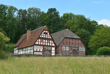 Typical German picturesque old houses on a background of green forest. Germany.