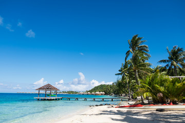 Bora Bora paradise Beach  and Jungle in French Polynesia
