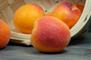 Fototapeta na wymiar Fresh peaches spilling out of tipped wicker basket