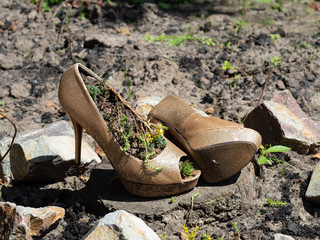 Worn out golden second hand stilettos / high heels upcycled into eco friendly planters / flowerbeds / flower pots. gardening idea. 