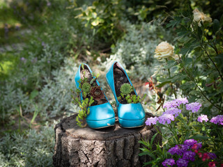 Worn out blue second hand stilettos / high heels upcycled into eco friendly planters / flowerbeds /...