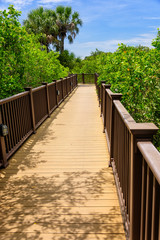 Obraz premium Boardwalk with lush Vegetation in the tropics