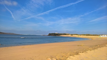 Portugal, Sintra, beach, beach flowers, 