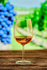 Glass of rose wine with blurred vineyard on background