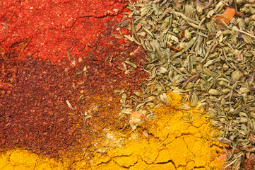 Wide variety spices and herbs with empty space for text or label.