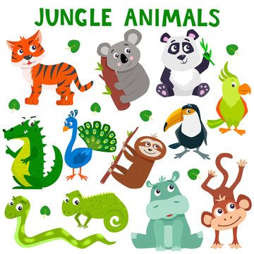 Set of cartoon cute jungle animals. Vector flat illustration.