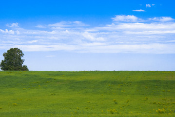 Fototapeta premium green field and blue sky with clouds