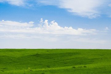 green field and blue sky with clouds