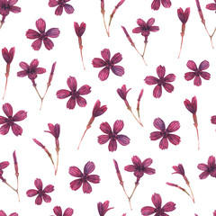Seamless watercolor pattern of little wild carnation.