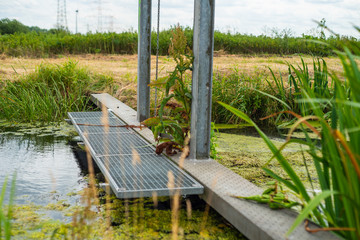 Viele verschiedene eindrücke vom Werderland in Bremen
