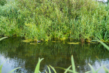 Viele verschiedene eindrücke vom Werderland in Bremen