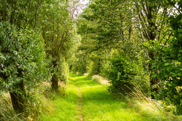 Obraz premium Wiele różnych wrażeń z Werderlandu w Bremie