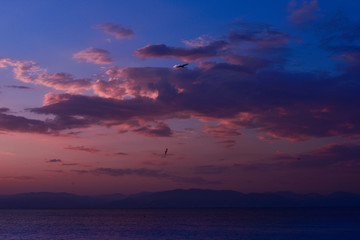 Beautiful sunset above the sea