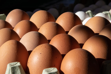 Eggs