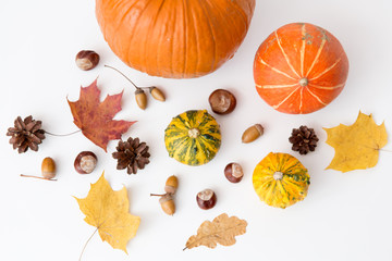 nature, season and botany concept - different dry fallen autumn leaves, chestnuts, acorns and...