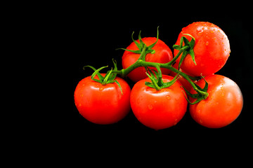 A branch of red tomato is isolating on a black background.