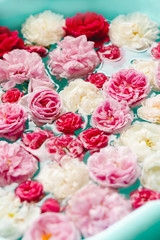 Awesome floral texture of colorful roses in water on blue background