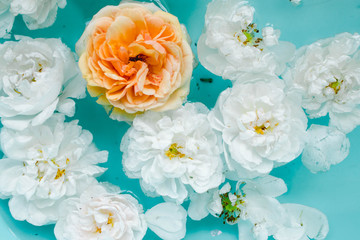 Tenderness floral texture of roses in water on blue background