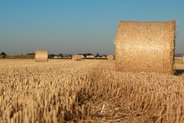 Fototapeta premium Strohrollen auf dem Feld
