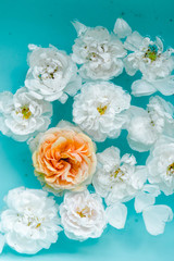 Tenderness floral texture of roses in water on blue background