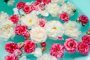 Tenderness floral texture of colorful roses in water on blue background
