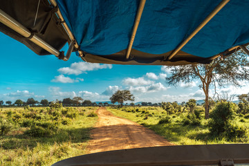 Safari in Mikumi National Park, Tanzania - View from the car