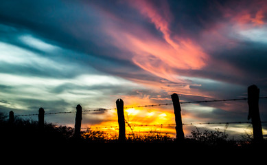 Sunset