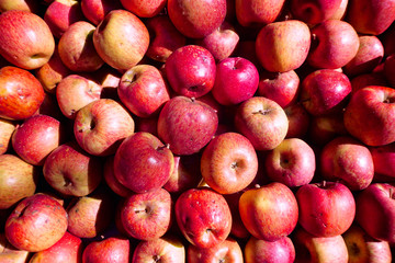 Top view of red apples at market