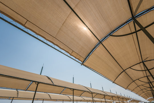 Abschattung Bilder Durchsuchen 41 Archivfotos, und