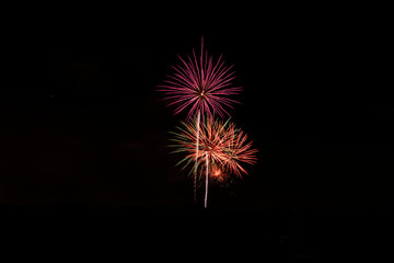 Fototapeta premium Colorful Fireworks Exploding in the Dark Night Sky 55