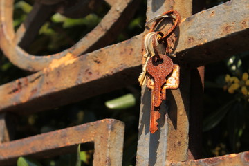 Old rusty keys on a gate