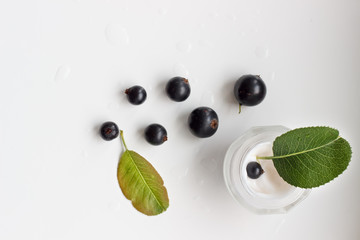 cream, blackberry, vitamins, medicine, beauty, mint, lime, leaf, green, isolated, fresh, lemon, herb, plant, fruit, white, food, citrus, drink, mojito, peppermint, ingredient, leaves, healthy, closeup