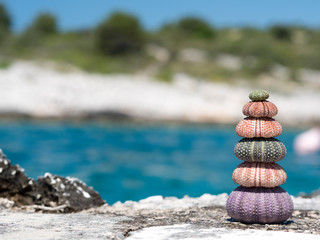 urchin stack with nice ocean background