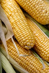 Fresh corn cobs close up, top view