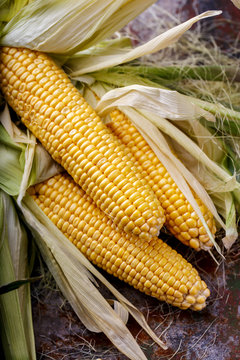 Fresh corn cobs close up, top view