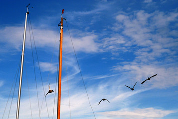 Obraz premium masts and flags