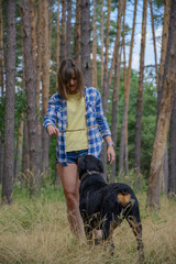 Beautiful young woman walking with cute dog in forest, nature. Rottweiler breed