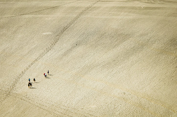 Mont Saint Michel, France - June 28, 2012. Pilgrims walking on sea bottom near to famous historic cathedral at low tide