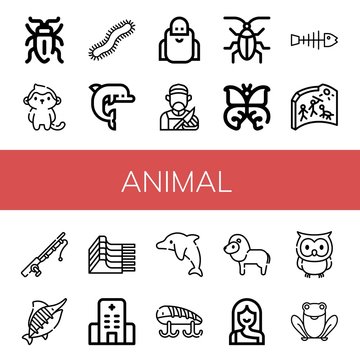 Set of animal icons such as Sap beetle, Monkey, Centipede, Dolphin, Wise, Butcher, Cockroach, Butterfly, Fishbone, Cave painting, Fishing rod, Marlin, Mutton, Hospital , animal