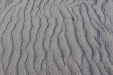 Sandwellen